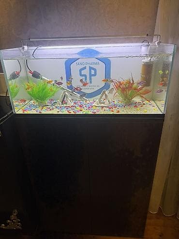 Akvarium-şkaf, Balıqlarla birlikdə, 100 l, Ünvandan götürmə