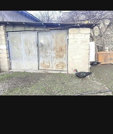 novxanıda torpaq: Biznes üçün — 2