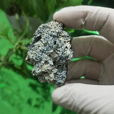 ucuz gitara satisi: UV Parlayan Təbii Daş Satılır – Kolleksiya üçün Nadir Kristal 💎 — 8