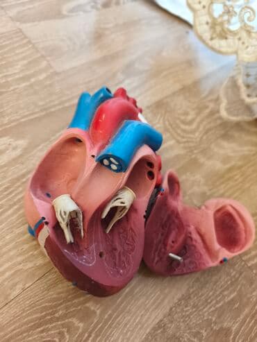 Güzgülər: Fiqur, Plastik — 5