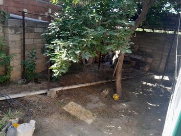 sulutepe kiraye ev: Sulutəpə qəs. 4 otaqlı, 2 kv. m, Kredit yoxdur, Orta təmir — 9