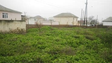 bıçak satışı bakıda: 20 sot, Tikinti, Mülkiyyətçi, Kupça (Çıxarış) — 4