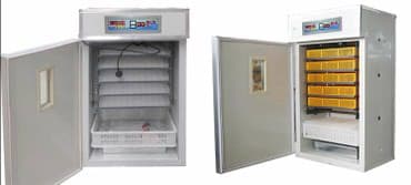 1100 yumurta, Çin, Fabrik istehsalı, Tam avtomat, Bütün növ quşlaq üçün