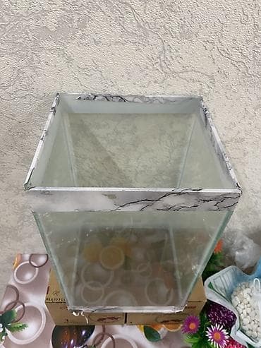su çğni: Dördbucaq akvarium, Boş, 25 l, Ünvandan götürmə, Ödənişli çatdırılma — 1