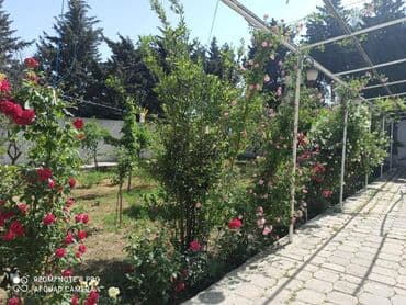 heyət evi: 6 otaqlı, 240 kv. m, Orta təmir — 1