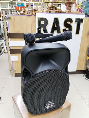 gucləndirici: Dinamik Kalonka "vayze" İki distasoyunnu mikrafonlu 2 simsiz — 1