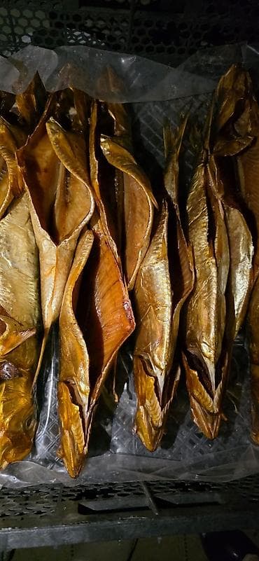 Zalom baliğı hise verilmis ededi 6azne