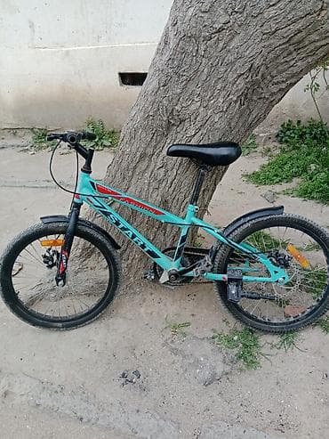 İki təkərli Uşaq velosipedi Start, 20", sürətlərin sayı: 1