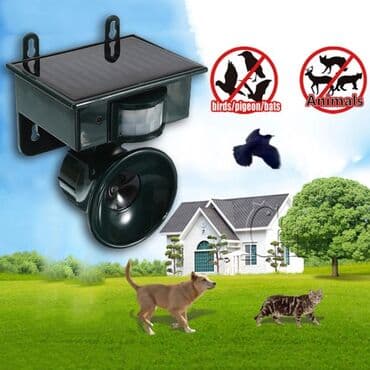 dell azerbaijan: Quş qovan 🔹️5000kv metr erazini ehate ede bilecek güce malikdir — 1