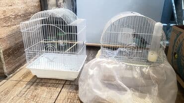 2 eded qefes bir yerde 15 azn lalafo.az -da 2 eded qefes bir yerde 15 azn