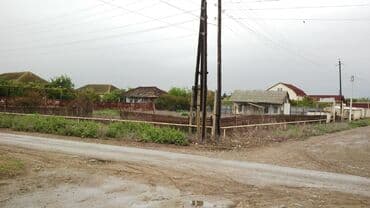 20 sot, Biznes üçün, Mülkiyyətçi, Kupça (Çıxarış)