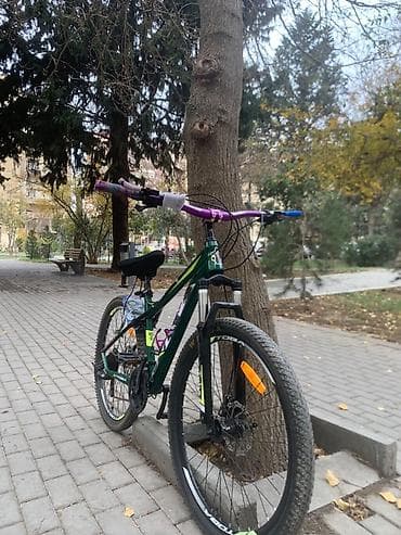 Toba dağ velosipedi - Çərçivə: alüminium, yaşıl rəng, Toba loqolu - — 4