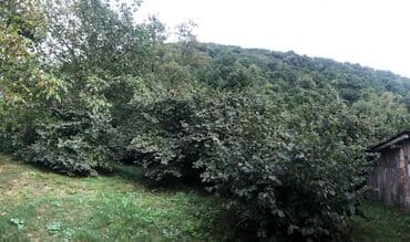 xacmazda satılan evlər: 7 соток, Собственник, Купчая — 6