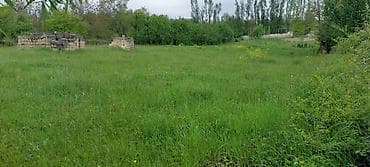 torpag satisi: 20 sot, Tikinti, Mülkiyyətçi, Kupça (Çıxarış) — 7