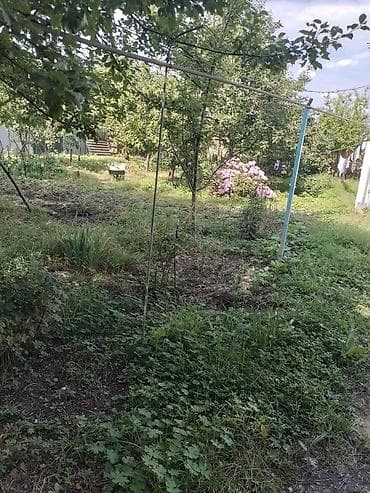Дачи: Qəbələnin Vəndam qəsəbəsində yerləşən möhtəşəm mənzərəli bağ evi — 3