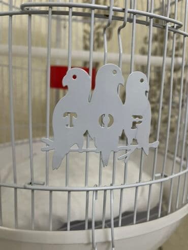 Heyvanlar üçün mallar: Ağ rəngli asılqanlı quş qəfəsi - Dairəvi, günbəz formalı metal — 1