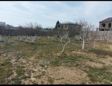 türkanda torpaq: 12 sot, Tikinti, Makler, Kupça (Çıxarış) — 3