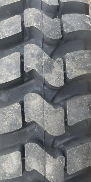 Yeni Şin Petlas R 16