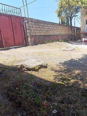 sekide ucuz kiraye evler: 4 otaqlı mənzil 140кв - Geniş və işıqlı zal: divarları açıq yaşıl — 6
