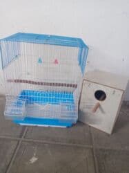 qus qefes: Papuqay qəfəsi az müddət istifadə olunub üstündə taxta yuvası da — 6