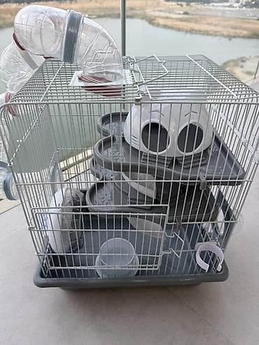 hamster satış: Hamster üçün çoxmərtəbəli qəfəs və aksesuar dəsti hamisi bir yerde — 1