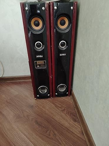 Məhsul: Intex markalı 2 ədəd döşəmə tipli akustik kolonka və vinil