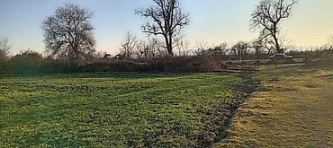 neftciler satilan evler: Kənd təsərrüfatı — 5