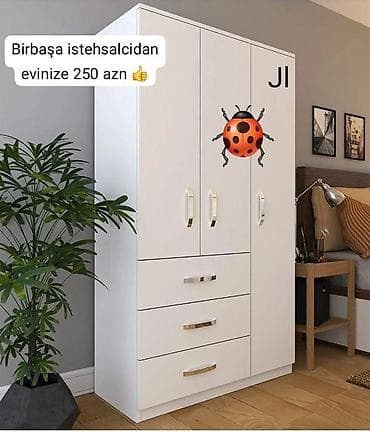 kalidor skaflari: Dolab — 1