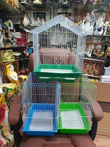 Təzə Qəfəslər 9azn boş qəfəslər Valnisti Tutuquşu Qəfəsi 9azn Amadin lalafo.az -da Təzə Qəfəslər 9azn boş qəfəslər Valnisti Tutuquşu Qəfəsi 9azn Amadin