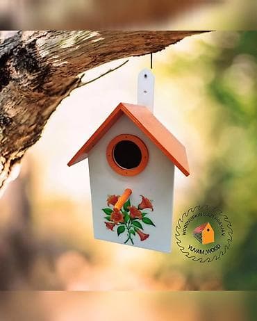 Digər heyvanlar: Quş yuvası — 2