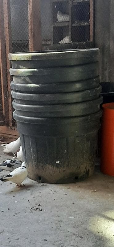 plastmas su çəni: Boçka, Plastik — 2
