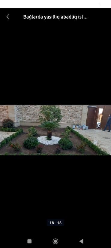 yonca toxum: Qazon çatrlma qurasdirma torf gubresinn satişi butun yasiliqa aid — 6