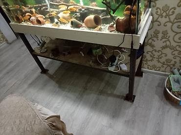 gence dovsan: Dördbucaq akvarium, Boş, 260 l — 6