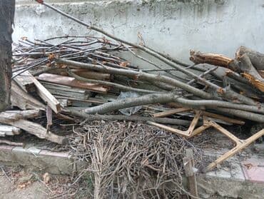 odun kesen mator: Kürə üçün odun — 1