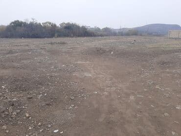 asif məhərrəmov küçəsi: 3 sot, Mülkiyyətçi, Kupça (Çıxarış) — 5