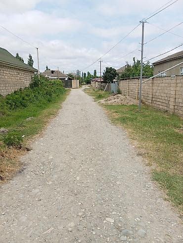 6 sot, Tikinti, Mülkiyyətçi, Kupça (Çıxarış)