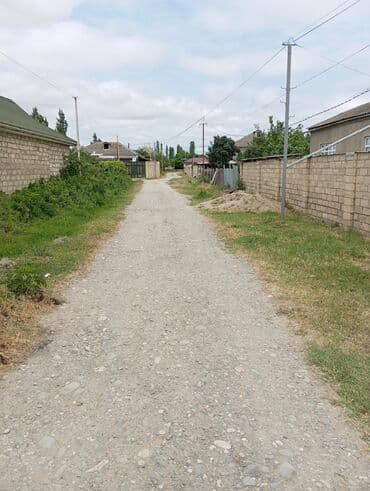 6 sot, Tikinti, Mülkiyyətçi, Kupça (Çıxarış)