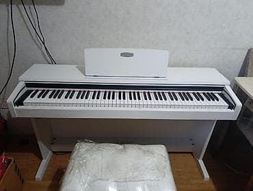 elekt: Pearl River v 03 elektro pianosu. Akustik piano səsinə çox yaxın səs — 1