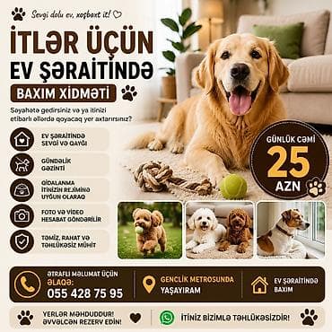 İtlər üçün ev şəraitində baxım xidməti - Gündəlik cəmi 25 AZN - Ev — 1