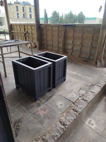 gül toxumları satışı: Sifariş qəbul olunur — 1