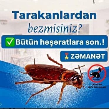 xalca yuma 1 50 azn 2023: Dezinfeksiya, dezinseksiya | Nəqliyyat — 17