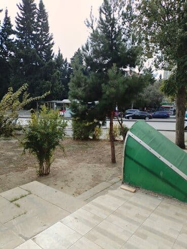 mireli qasqay kucesi: Şamaxinka Alibaba dönər olan binada yerləşir — 2