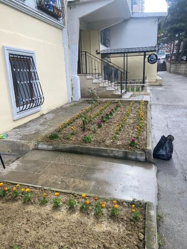 9 mkr kirayə evlər: Nesimi rayonu erazisinde, 9 mkr da Safa store binasinin qabaginda yola — 2