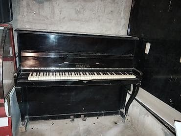 real gitara: Piano, Akustik, İşlənmiş, Ünvandan götürmə — 1