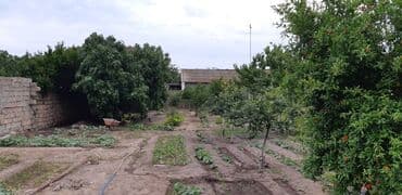 masazir yeni tikili: 6 sot, Tikinti, Makler, Kupça (Çıxarış) — 3