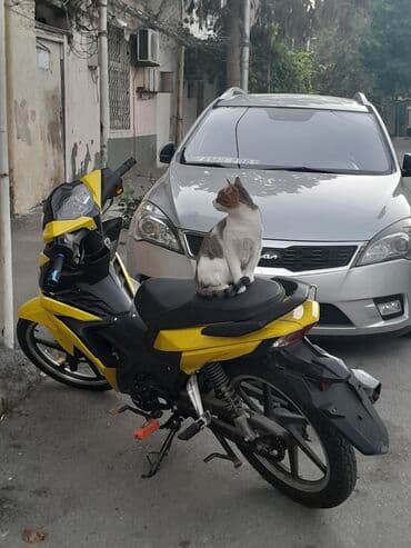 ucuz mapetlər: Tufan 50 sm3, 2024 il, 10000 km — 3