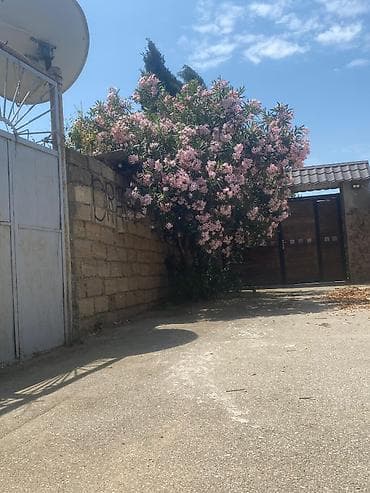 bulbule qesebesinde satilan evler: 5 sot, Mülkiyyətçi, Bələdiyyə — 1