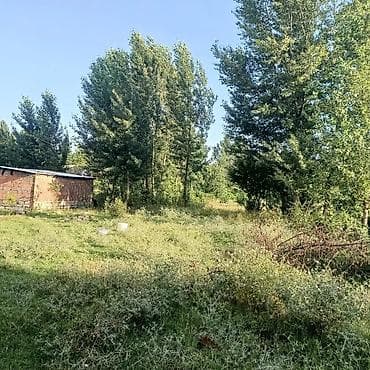 Torpaq: Salam İsmayıllı rayonu da torpaq sahəsi satılır istəyən olsa əlaqə — 3