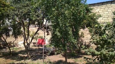 findiq agaci satilir: 3 sot, Tikinti, Mülkiyyətçi, Kupça (Çıxarış) — 8