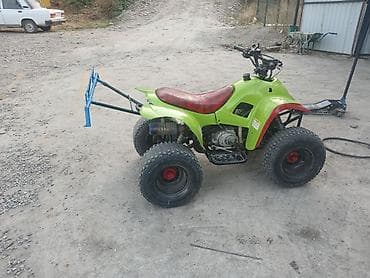 Motonəqliyyat: ATV (kvadrotsikl) – benzin mühərrikli, 4 təkərli - Rəng — 5
